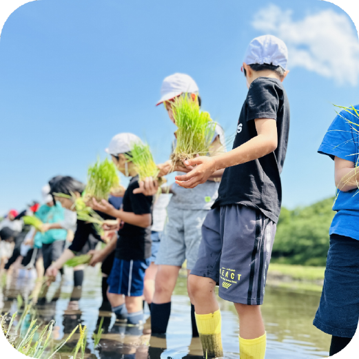 株式会社いろはにぽぺと